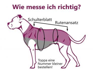 Preview: Jumppa Pomppa Updatet Forest